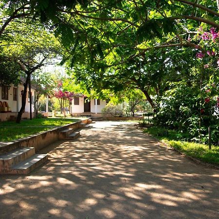 The Mountain Retreat Hotell Tiruvannāmalai Exteriör bild
