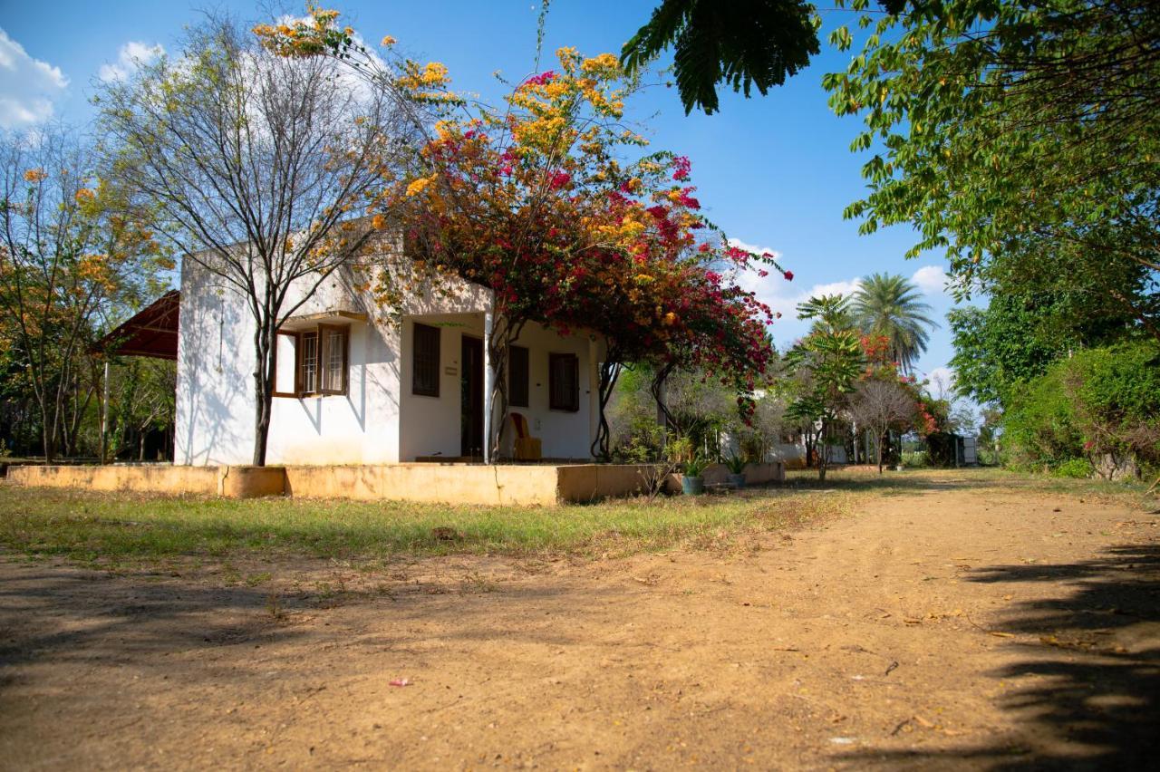 The Mountain Retreat Hotell Tiruvannāmalai Exteriör bild