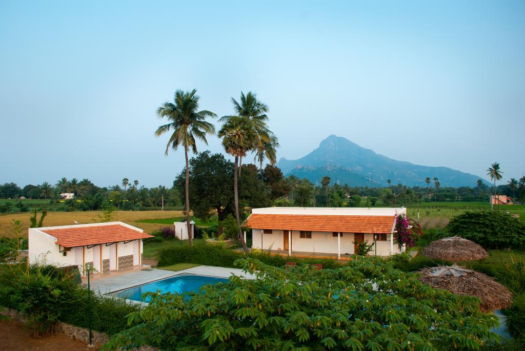 The Mountain Retreat Hotell Tiruvannāmalai Exteriör bild