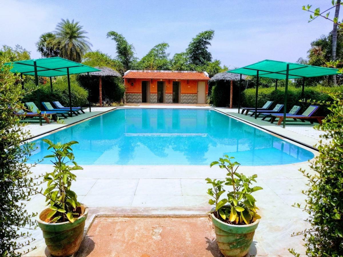 The Mountain Retreat Hotell Tiruvannāmalai Exteriör bild